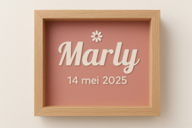 Naamsticker* geboortedatum* - Marly