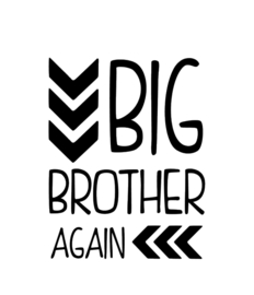Big Brother Again!!