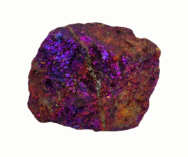 Borniet - Pauwenerts 45 gram