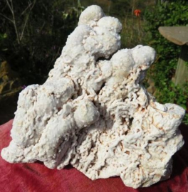 Zeldzame Chalcedoon Stalagmiet 1.79 kilo