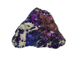 Borniet - Pauwenerts 41 gram