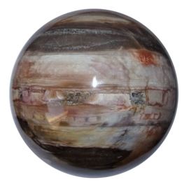 Bol Versteend hout 98 mm