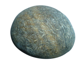 Tijgeroog Ema Egg