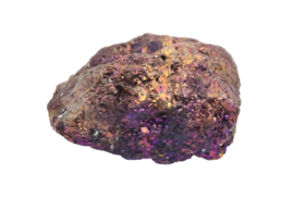 Borniet - Pauwenerts  64 gram