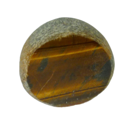 Tijgeroog Ema Egg