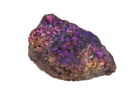 Borniet - Pauwenerts  64 gram