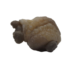 Chalcedoon