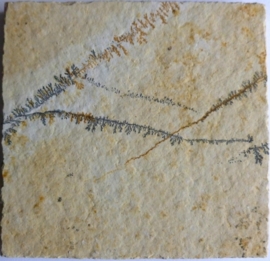 Dendriet 70 x 70 mm
