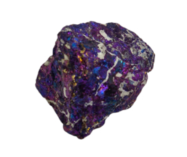 Borniet - Pauwenerts 42 gram
