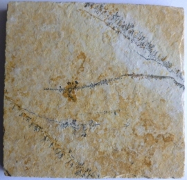 Dendriet 70 x 70 mm