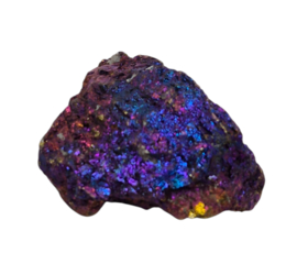 Borniet - Pauwenerts  35 gram
