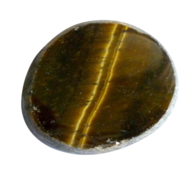 Tijgeroog Ema Egg