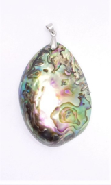 Hanger Abalone - Paua Shell