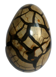 Wilde Septarie - Septaria - Dragon Egg  4.63  kilo verkocht