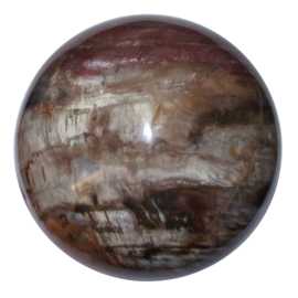 Bol Versteend hout 98 mm