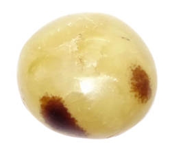 Septarie handsteen