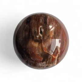Bol Versteend hout 72 mm