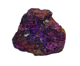 Borniet - Pauwenerts  35 gram