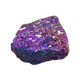 Borniet - Pauwenerts  39 gram