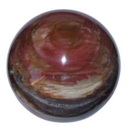 Bol Versteend hout 98 mm