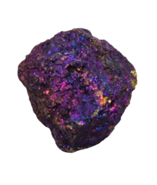 Borniet - Pauwenerts  37 gram