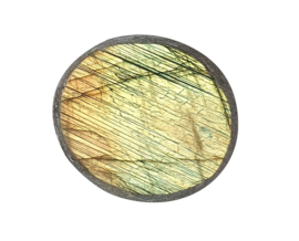 Labradoriet ema egg