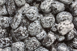Sneeuwvlok Obsidiaan