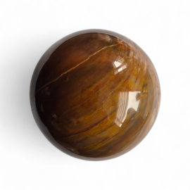 Bol Versteend hout 72 mm