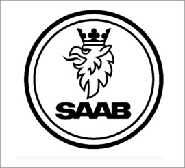Saab Katalysatoren