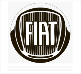 Fiat katalysator Informatie