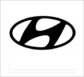 Hyundai Katalysatoren