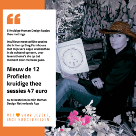 Profielen! 13 zeerrr kruidige Human Design kopjes thee met Inge