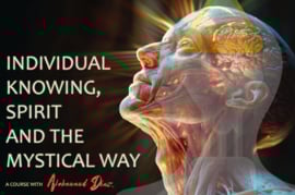 Now in my app: Individual Knowing, Spirit and the  Mystical Way with Alokanand April 4-6th 2025