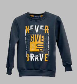 Sweater  - Never give up