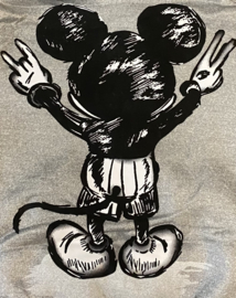 Trainingspak - Mickey grey