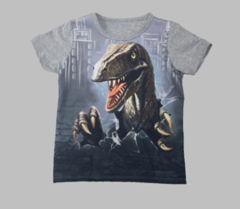 T-shirt - Dino 849