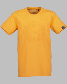T-shirt - BS 602839 orange