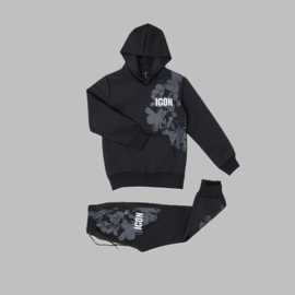 "Icon" collectie