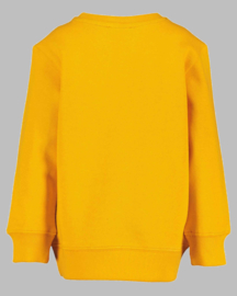 Sweater - BS 864694 orange