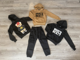 Hoody - What's next?