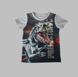 T-shirt - Dino 805