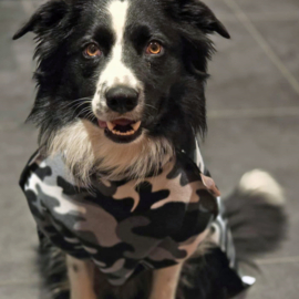 Fleecejassen camo voor je hond (reversible!)