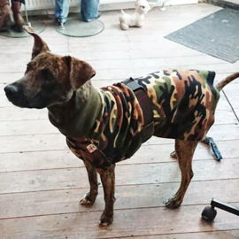 Fleecejassen camo voor je hond (reversible!)