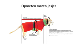 Fleecejasjes voor je hond (reversible!) uni