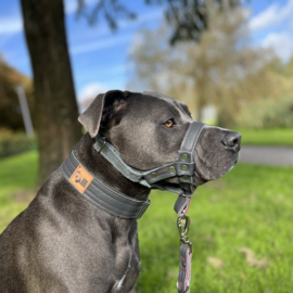 Gentle leader van leer en suede op maat in de kleur van je hond