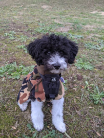 Fleecejassen camo voor je hond (reversible!)