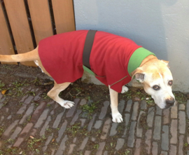 Fleecejasjes voor je hond (reversible!) uni