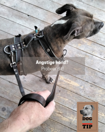 TIP: ANGSTIGE HOND? PROBEER DIT!
