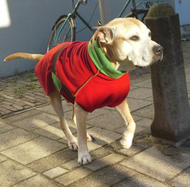 Fleecejasjes voor je hond (reversible!) uni