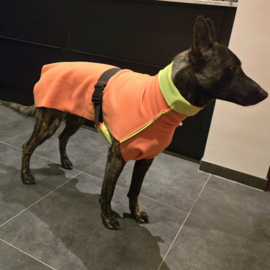 Fleecejasjes voor je hond (reversible!) duotoon